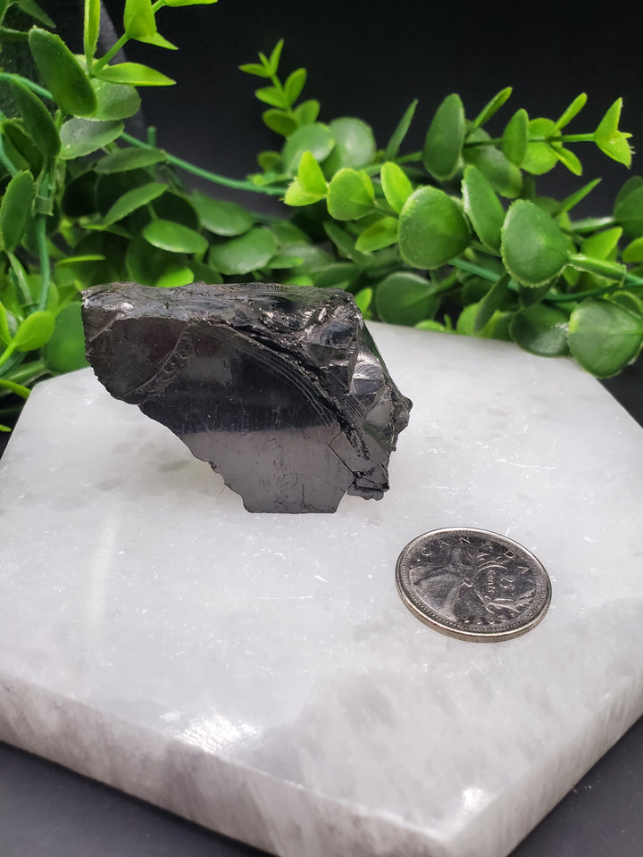 Elite Russian Shungite Rough Cut #9