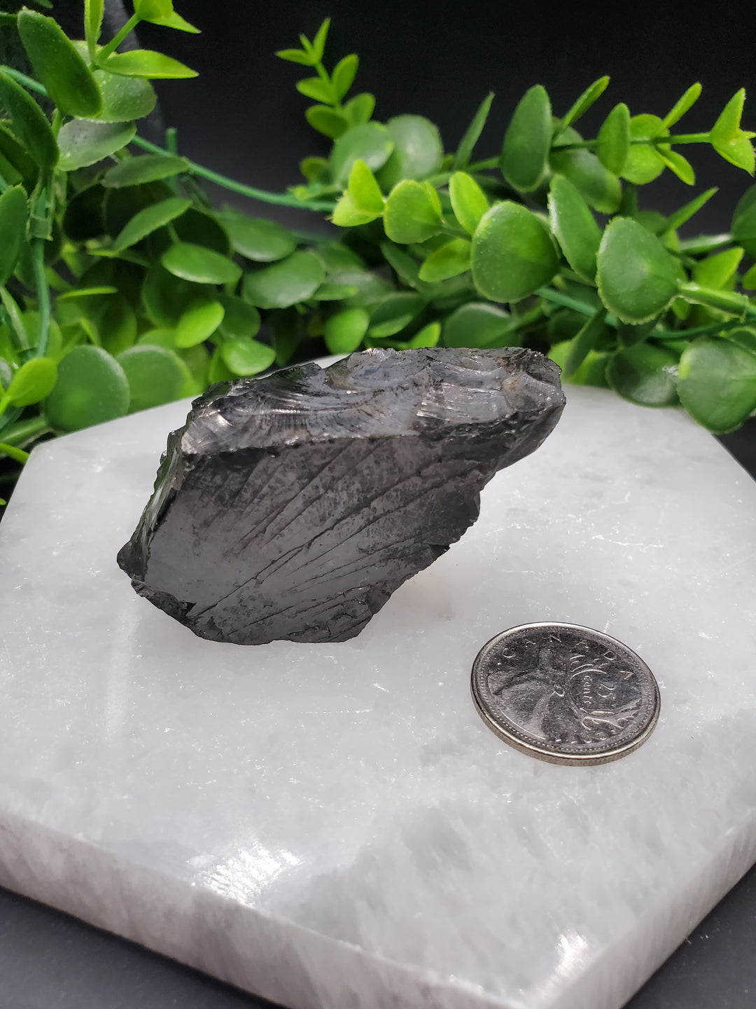 Elite Russian Shungite Rough Cut #9