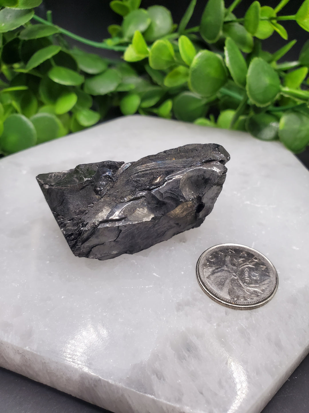 Elite Russian Shungite Rough Cut #7