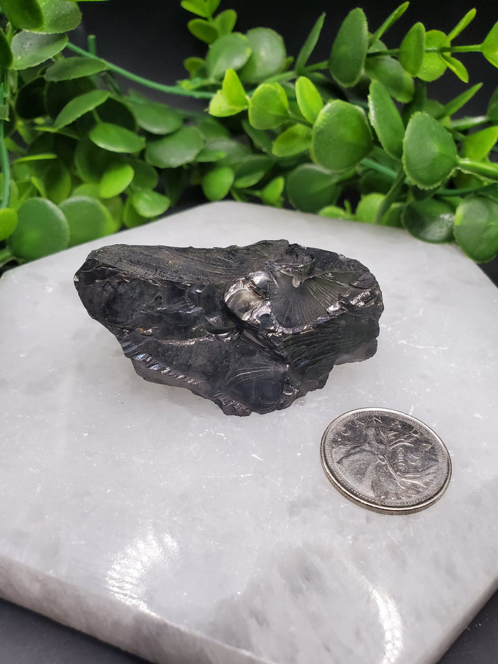 Elite Russian Shungite Rough Cut #7