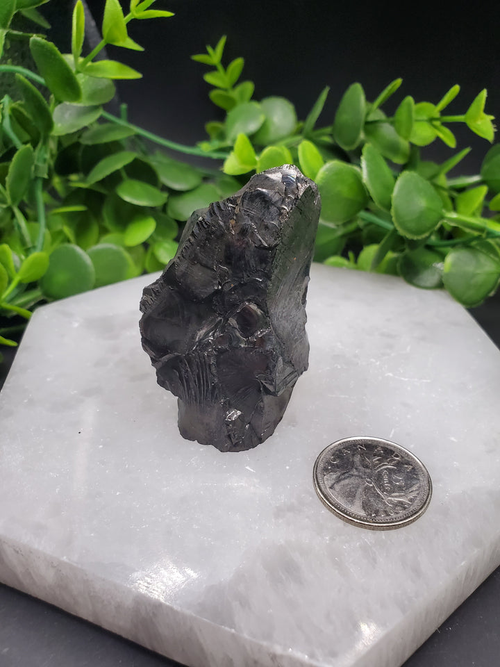 Elite Russian Shungite Rough Cut #7