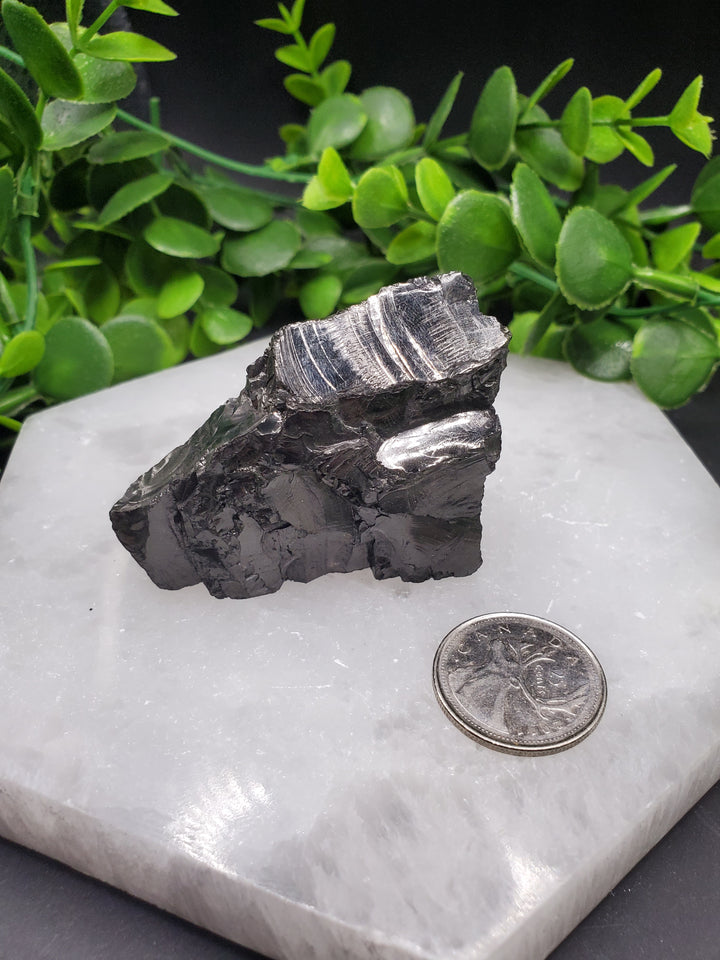 Elite Russian Shungite Rough Cut #6