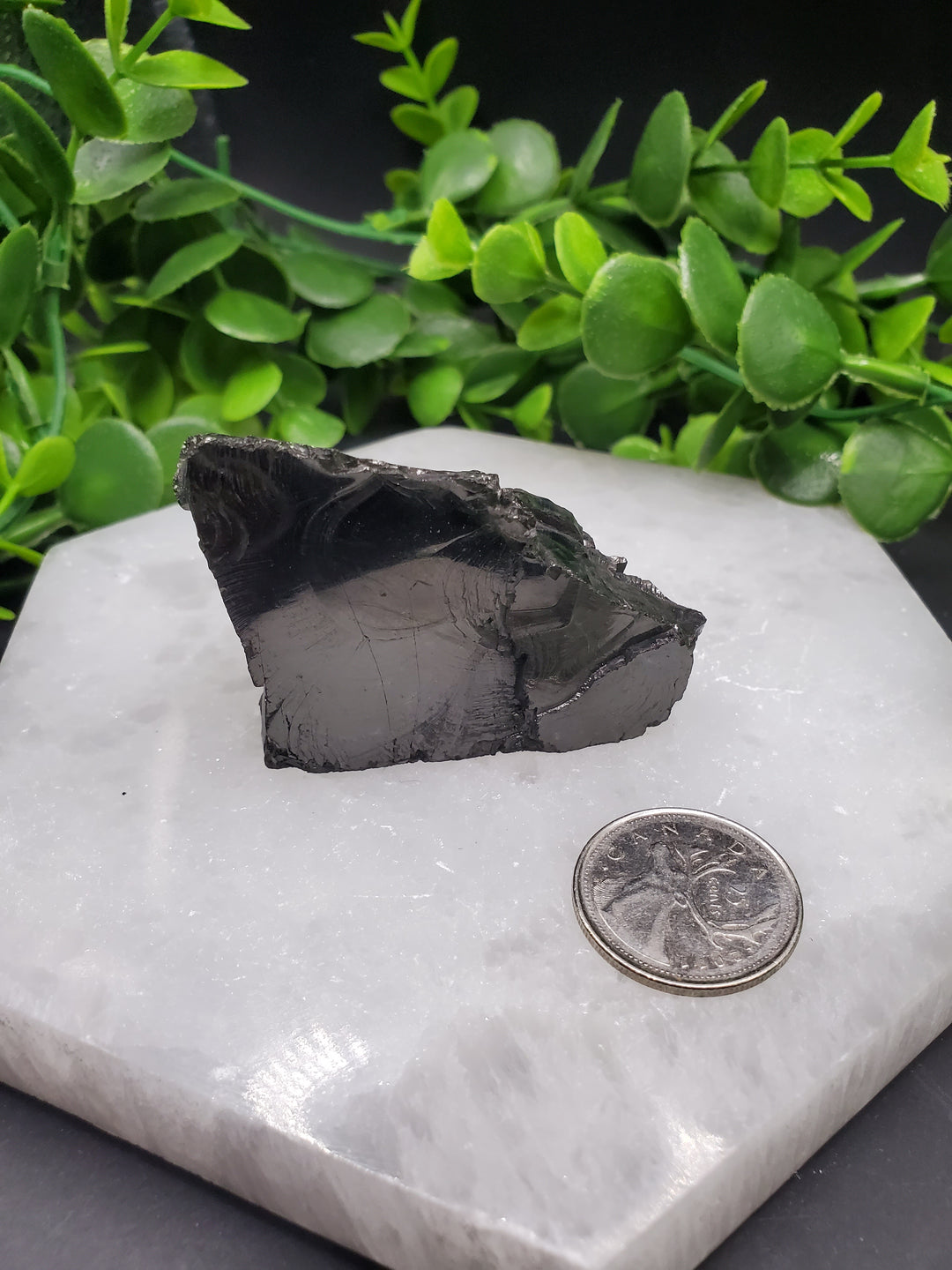 Elite Russian Shungite Rough Cut #6