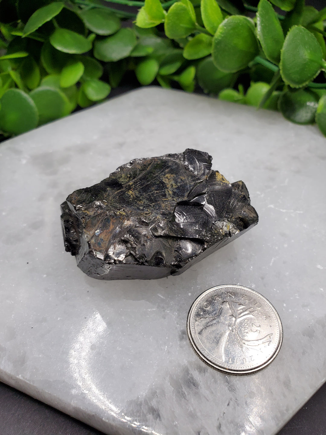 Elite Russian Shungite Rough Cut #4