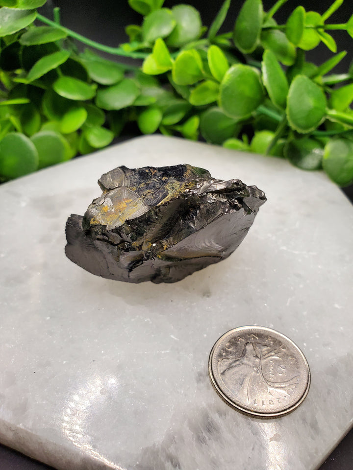 Elite Russian Shungite Rough Cut #4