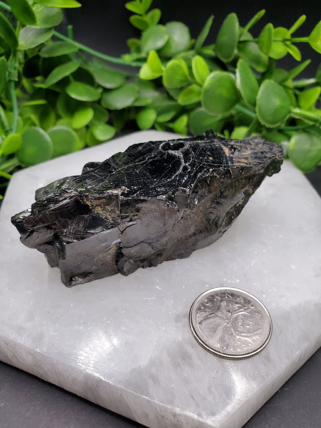 Elite Russian Shungite Rough Cut #3