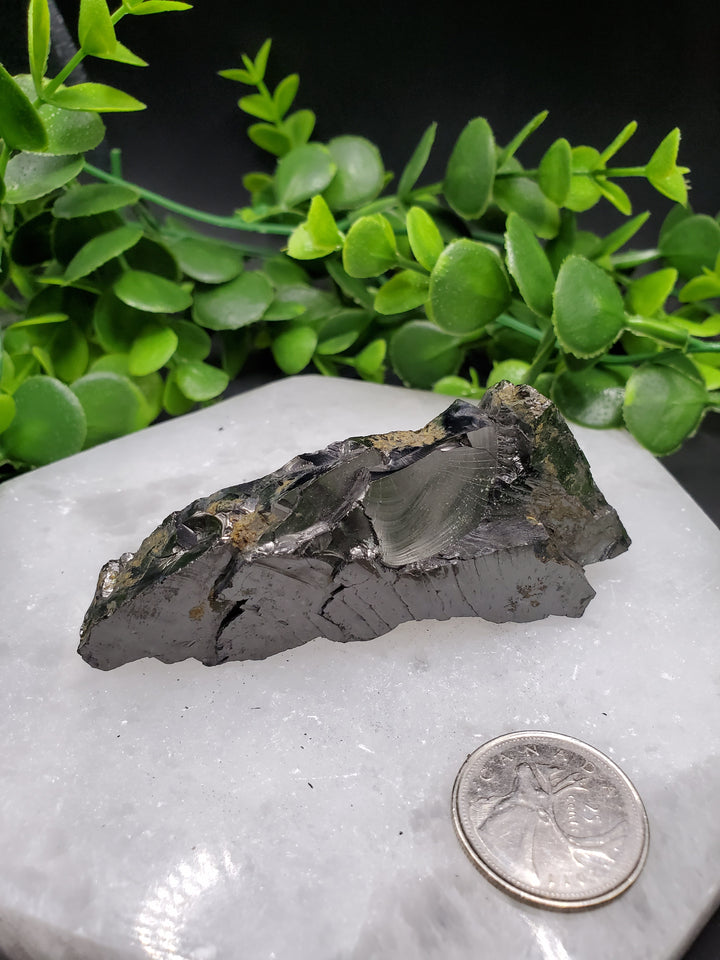 Elite Russian Shungite Rough Cut #1