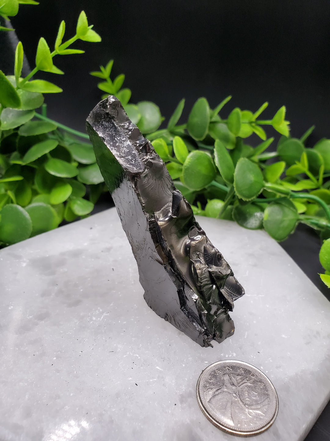 Elite Russian Shungite Rough Cut #1