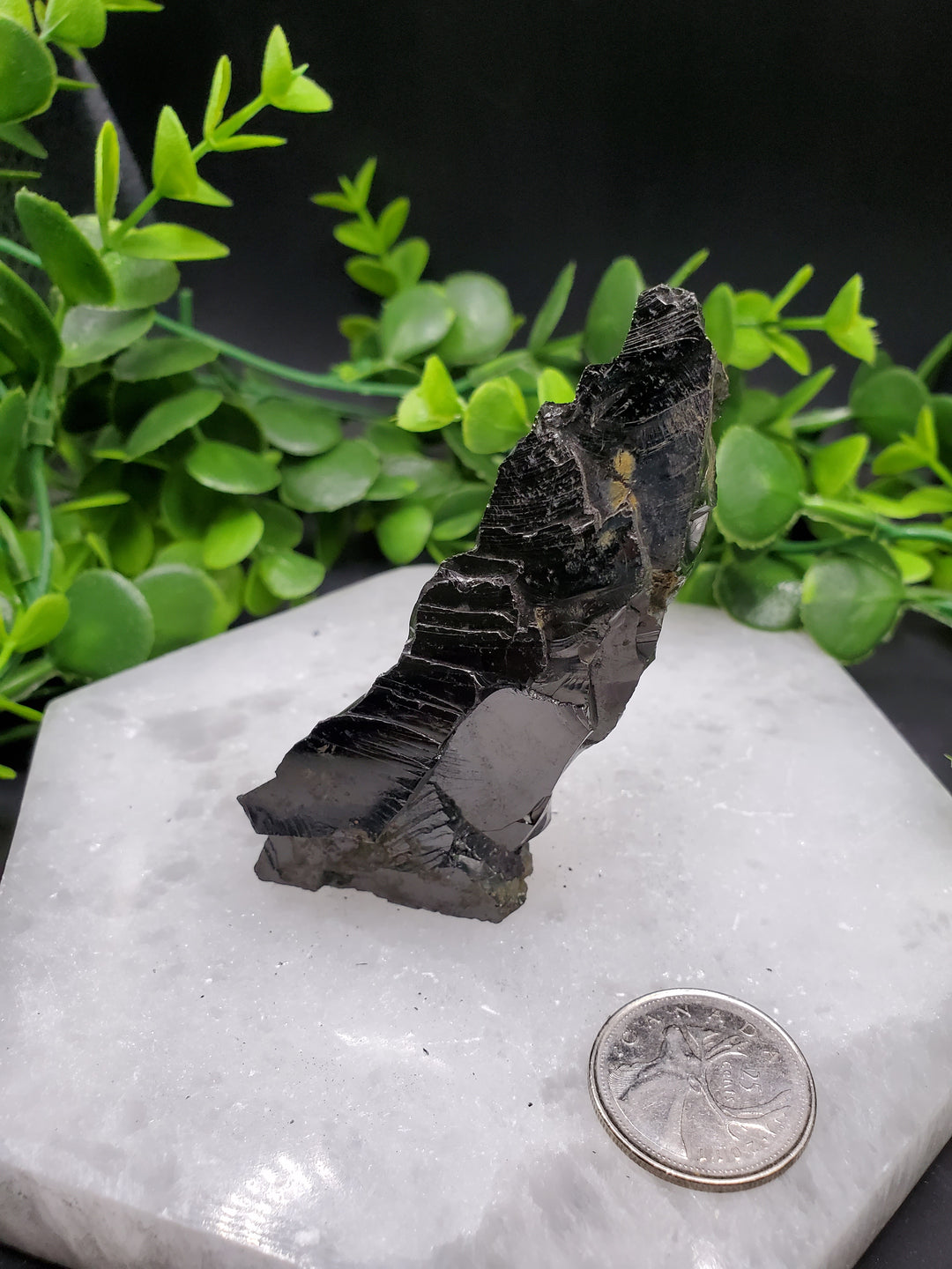 Elite Russian Shungite Rough Cut #1