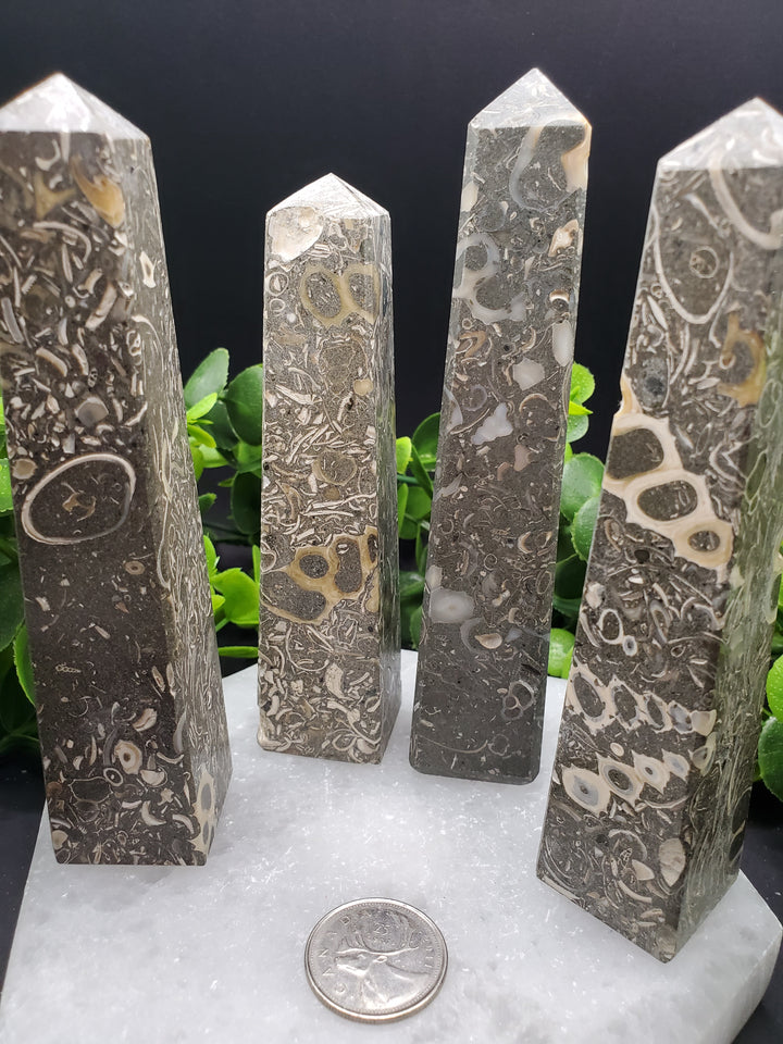 Turritella Agate Obelisks