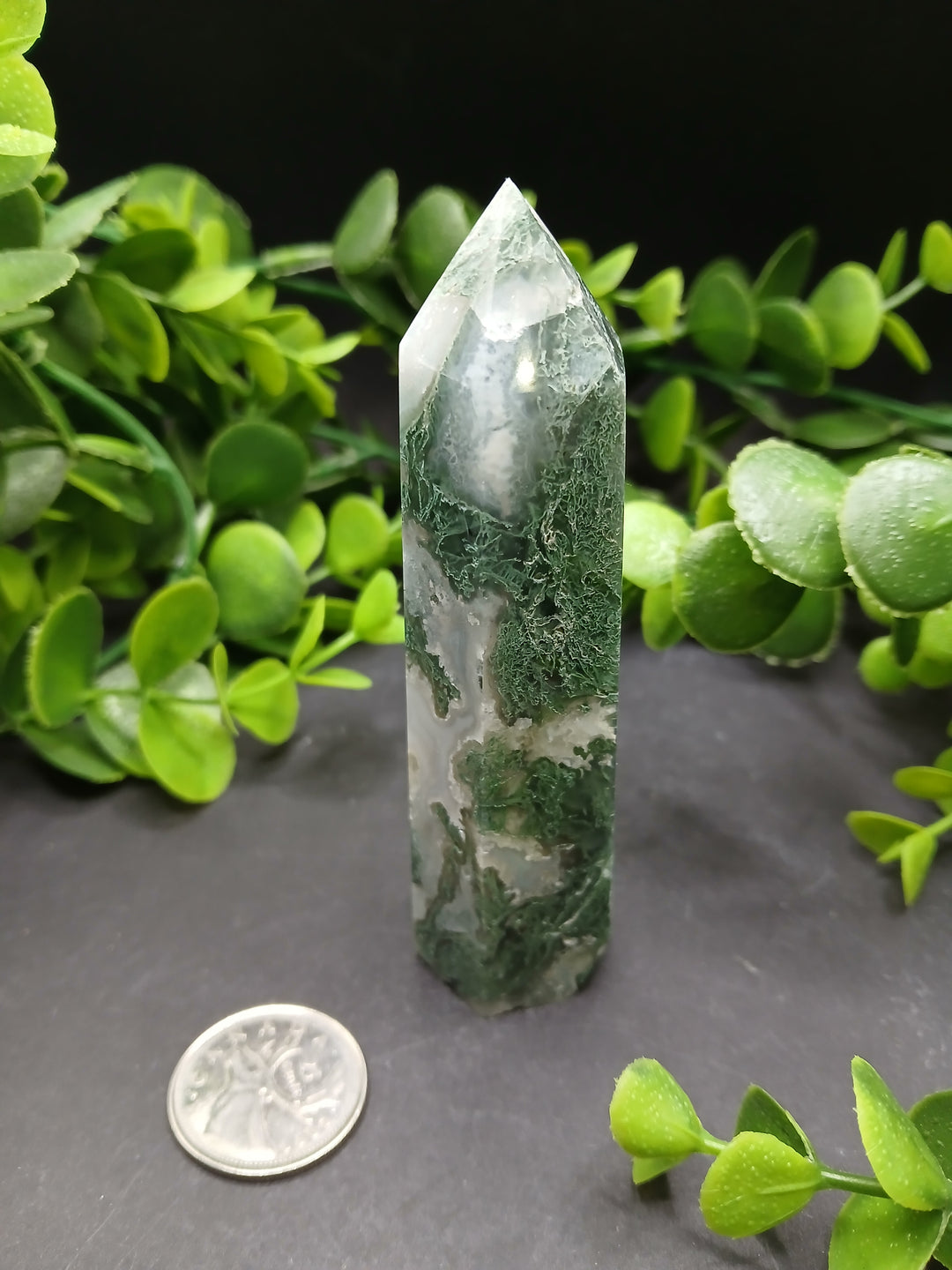 4" Moss Agate Polished Point #1