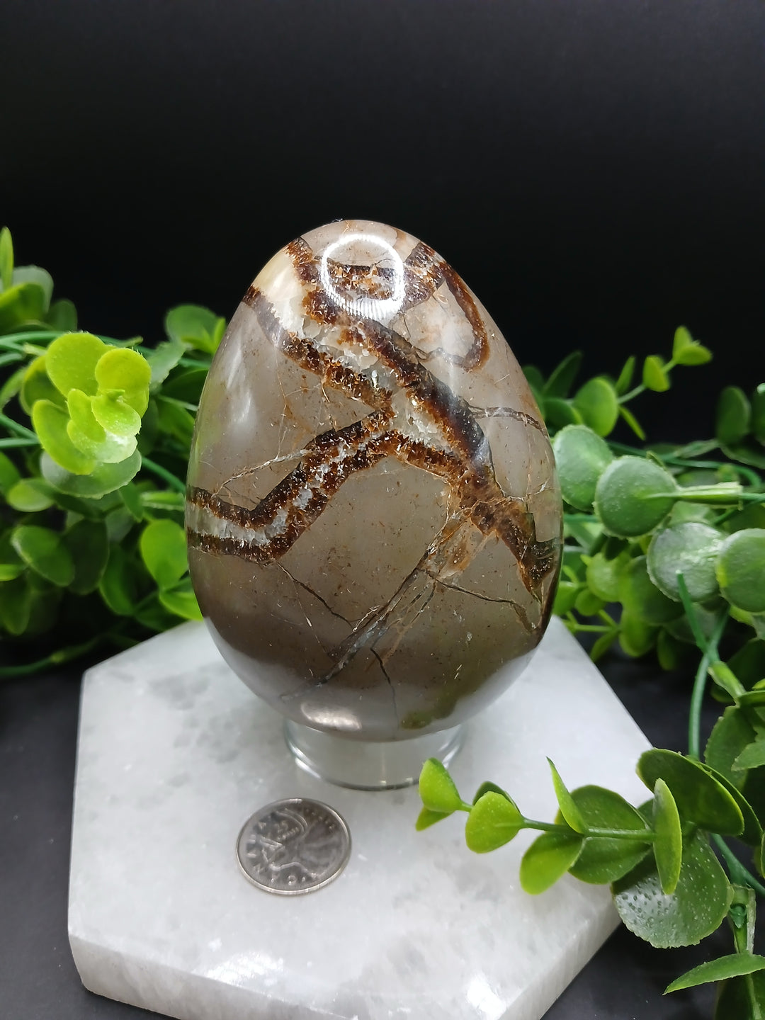 Septarian Egg (2 lb)