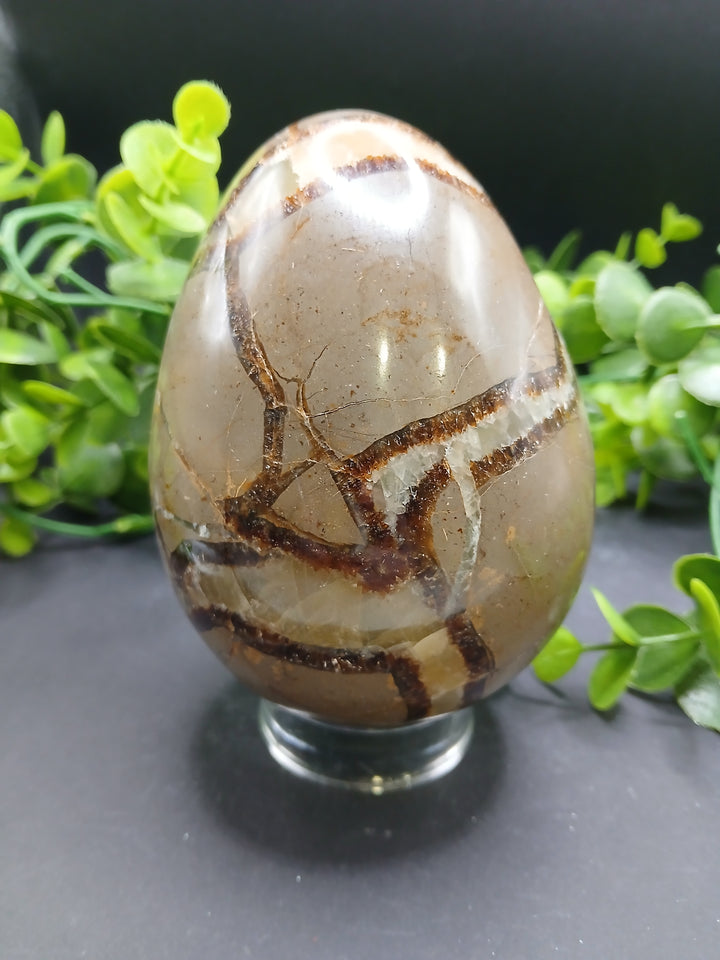 Septarian Egg (2 lb)