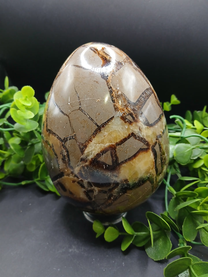 Septarian Egg (4.85 lb)