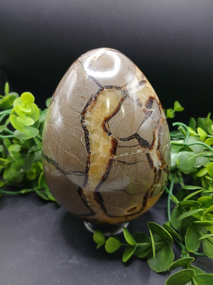 Septarian Egg (4.85 lb)