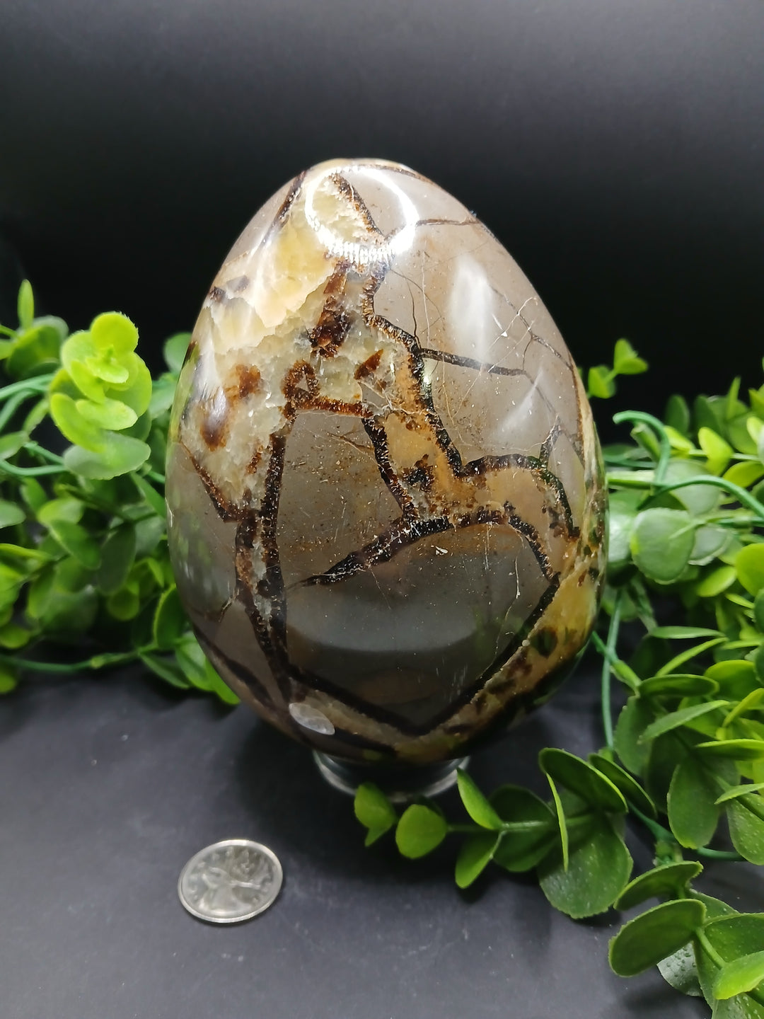 Septarian Egg (4.85 lb)