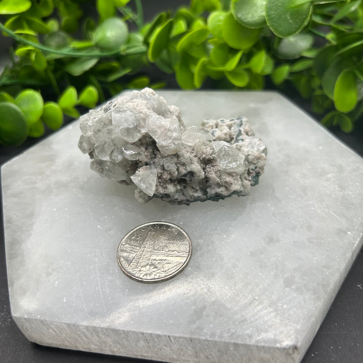 Diamond Apophyllite Zeolite Cluster(#8)