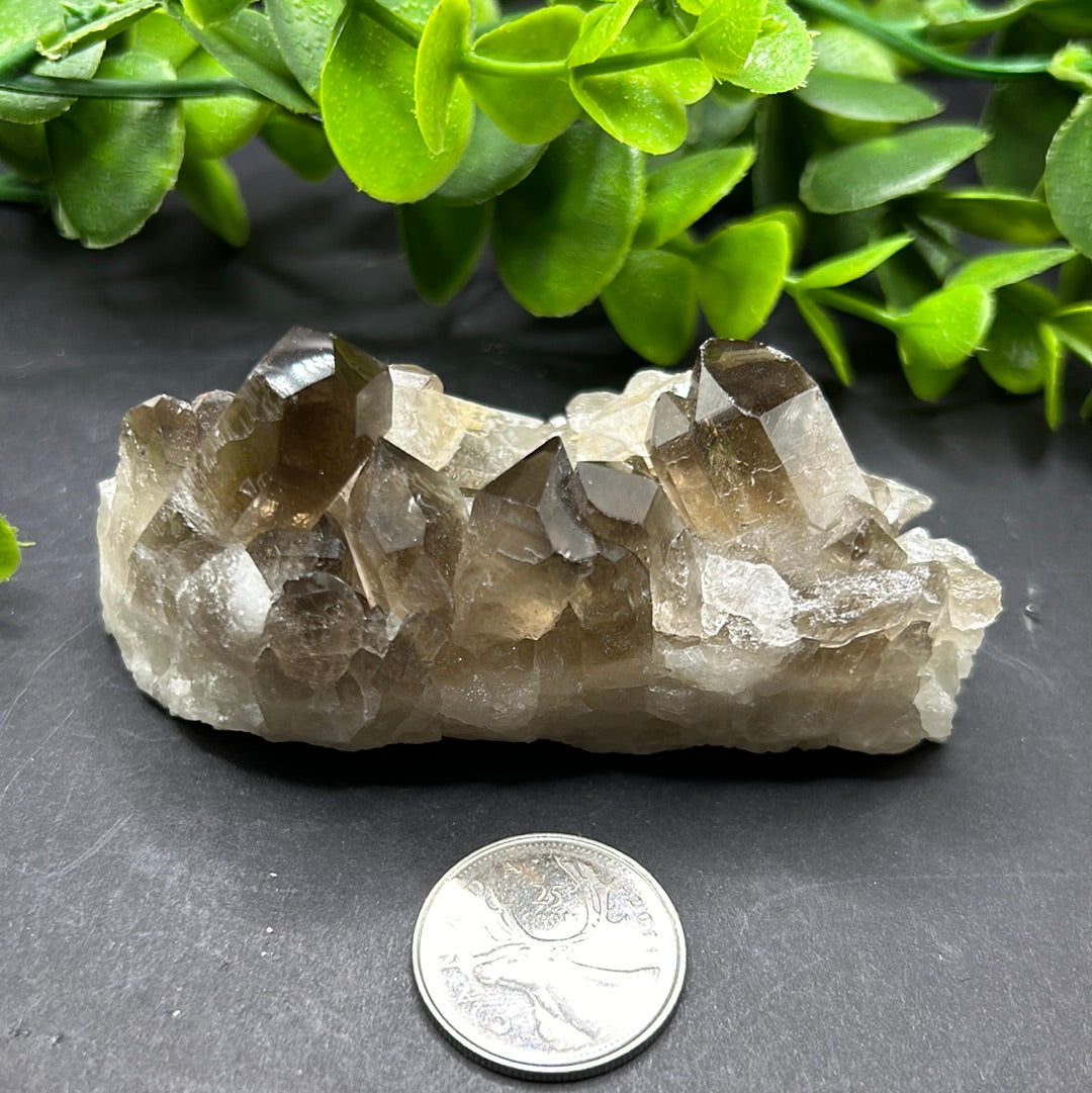 Smokey Quartz Cluster