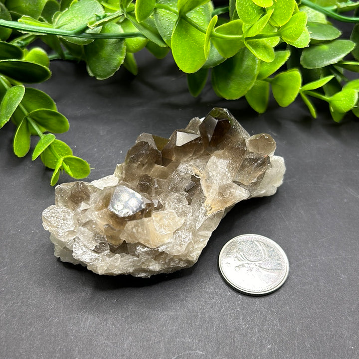 Smokey Quartz Cluster