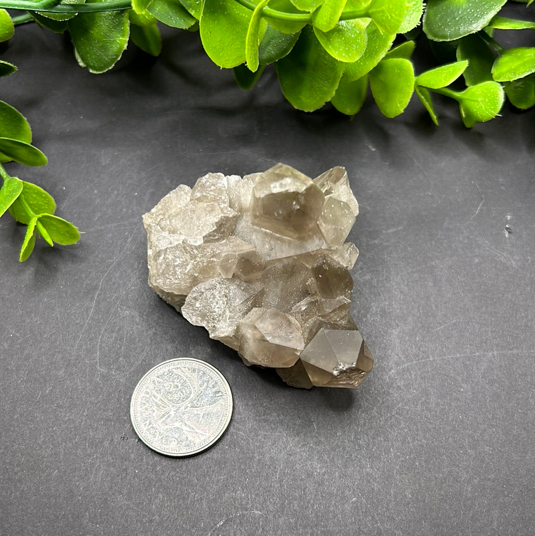 Smokey Quartz Cluster