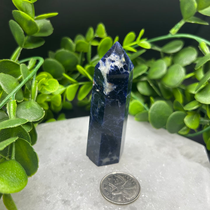 Sodalite Polished Point (#5)