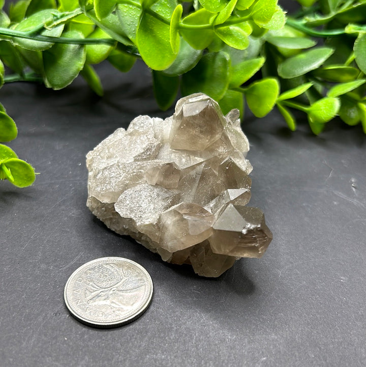 Smokey Quartz Cluster