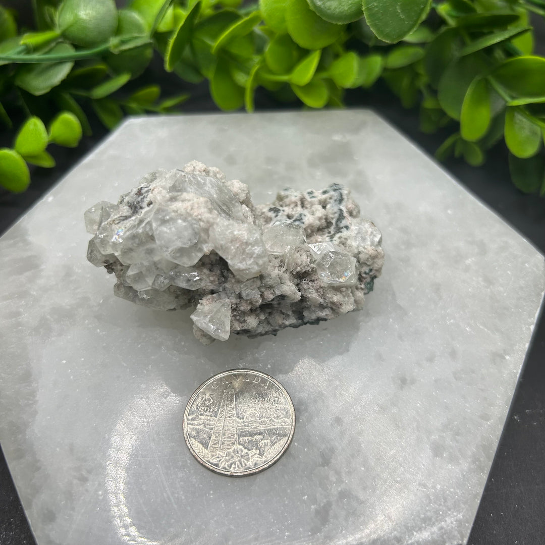 Diamond Apophyllite Zeolite Cluster(#8)