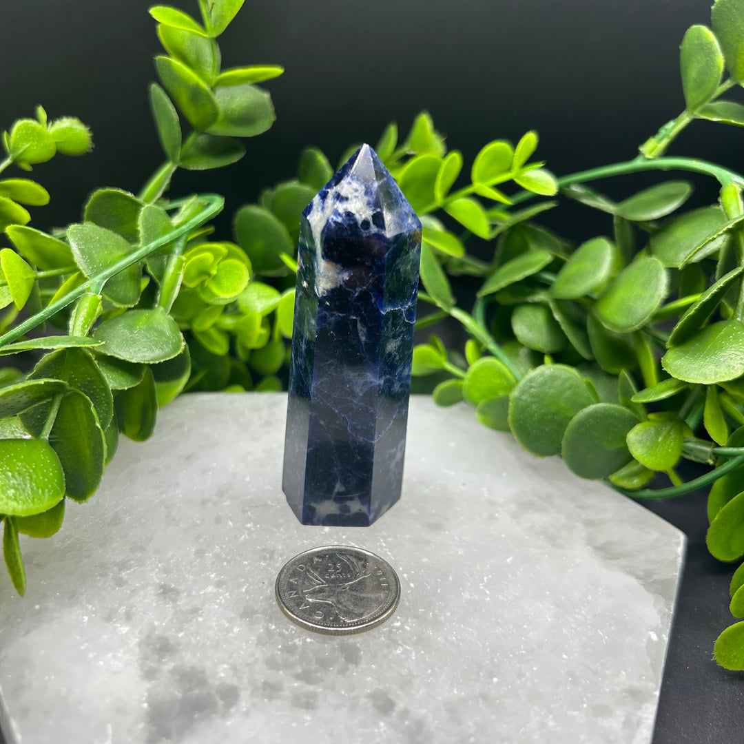 Sodalite Polished Point (#5)