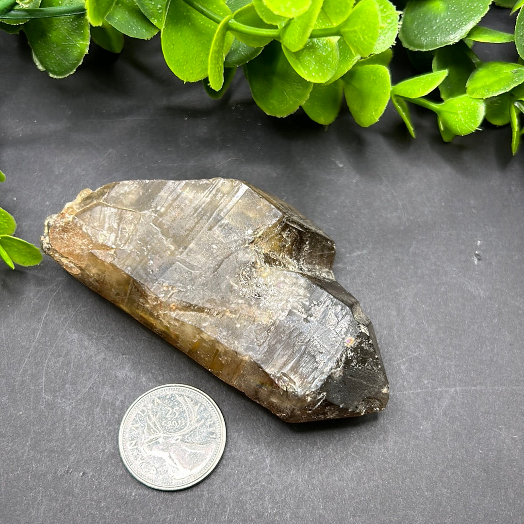 Natural Citrine Point (L)