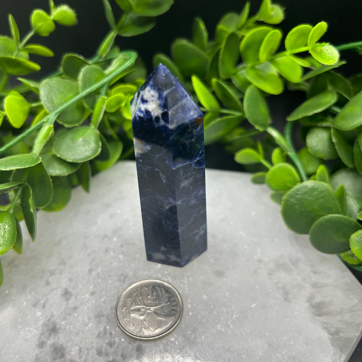 Sodalite Polished Point (#5)