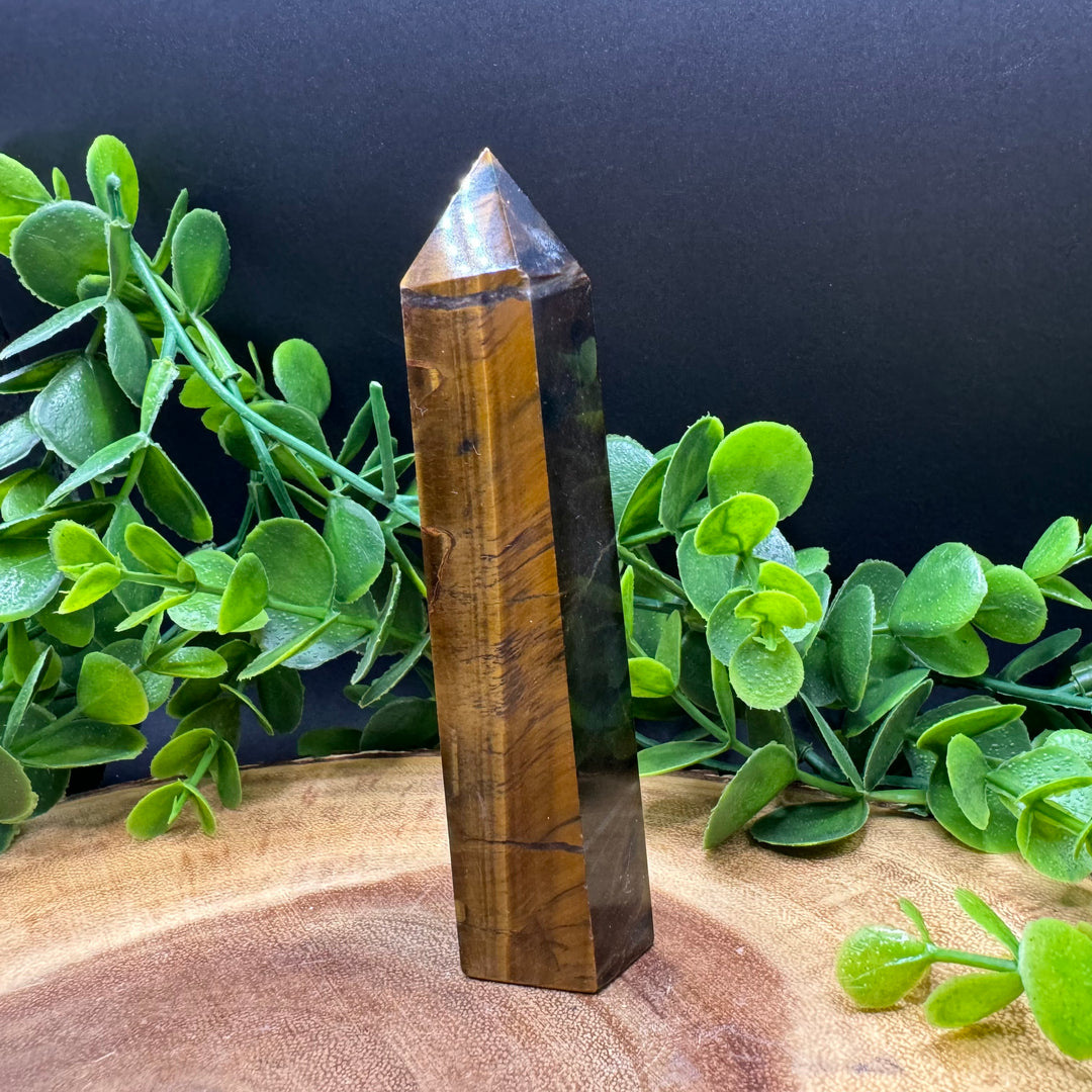 Tiger Eye Polished Point #1