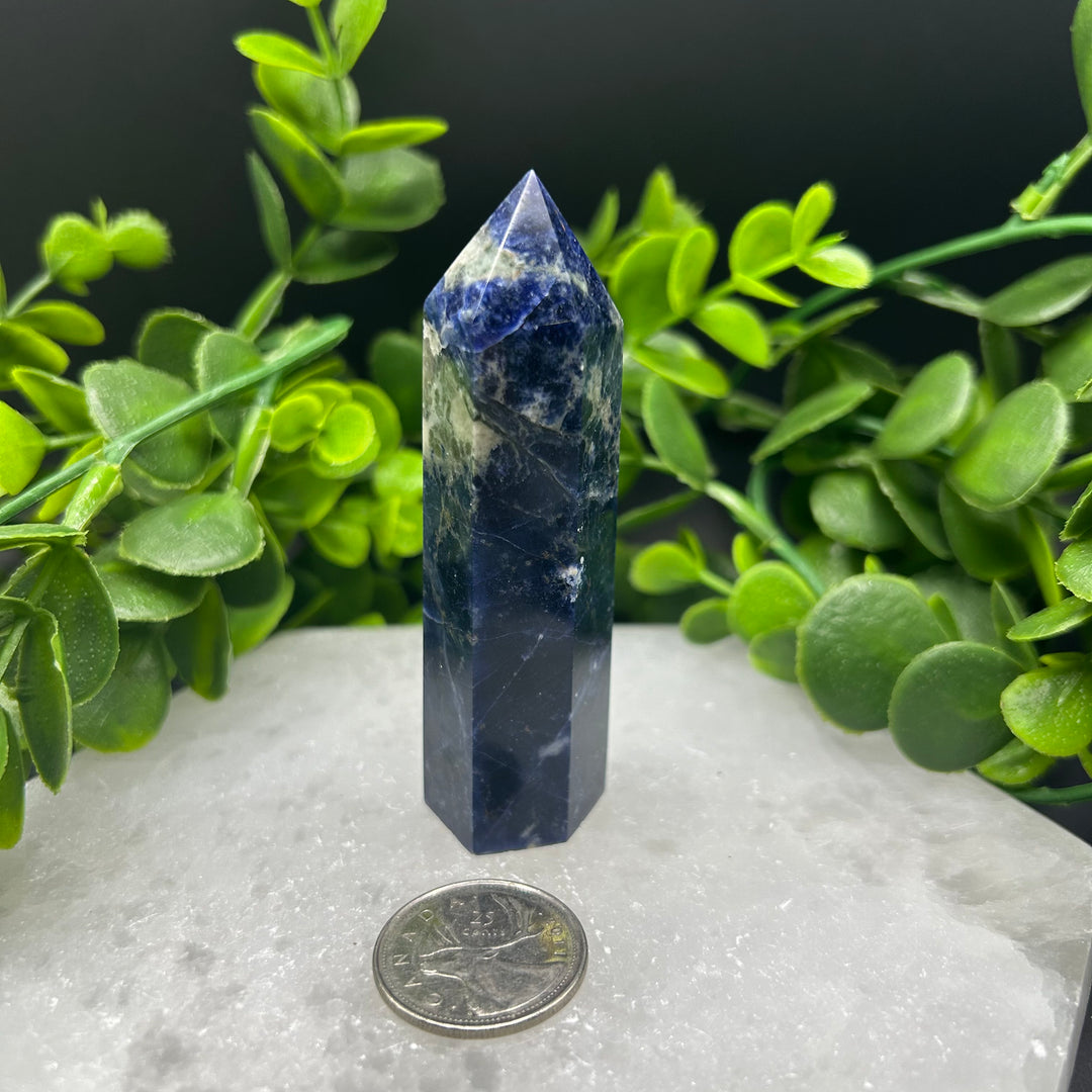 Sodalite Polished Point (#3)