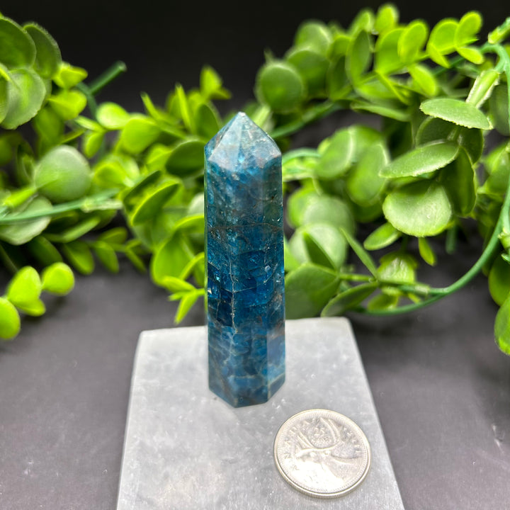 High Quality Blue Apatite Polished Point (#3)