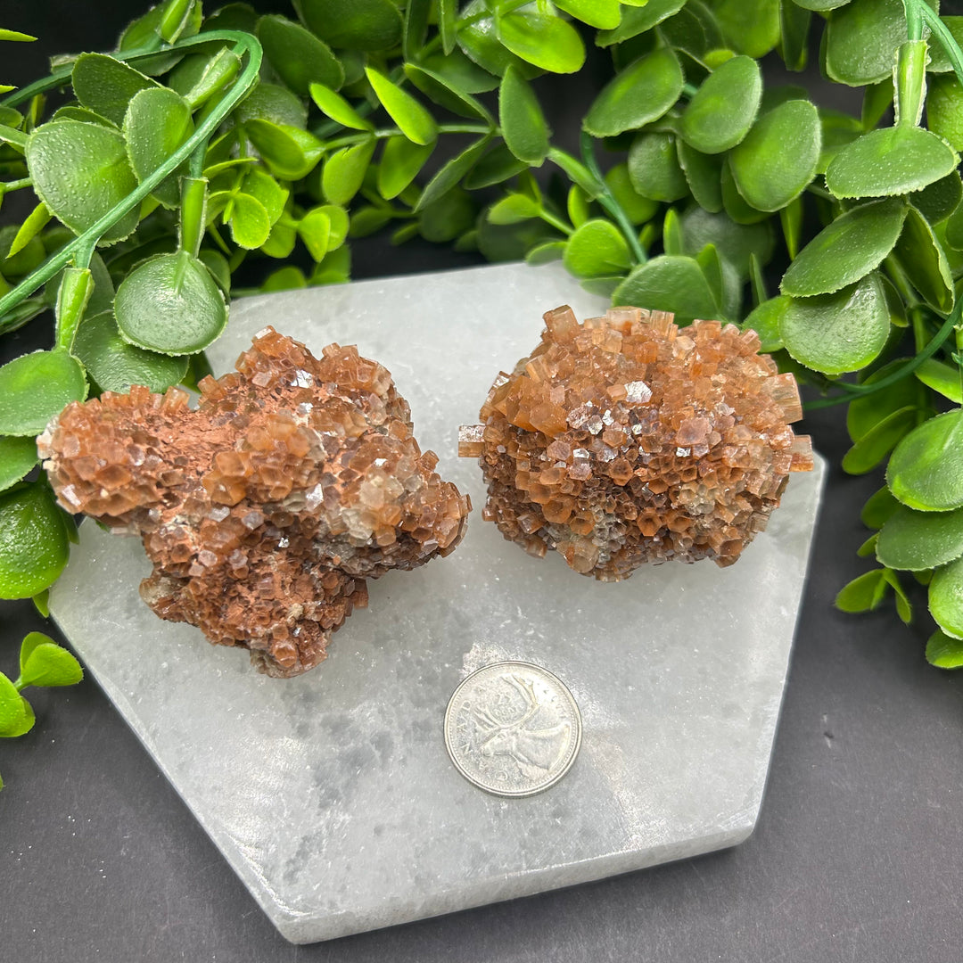 Aragonite Clusters (L)