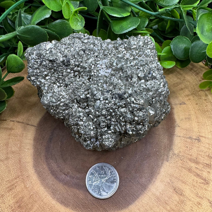 Pyrite Cluster #6 - 1064g