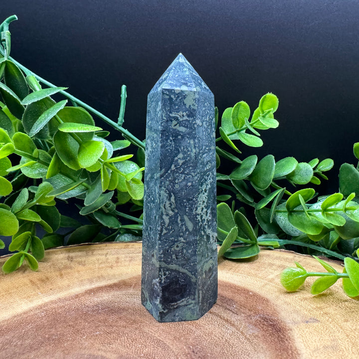 Kambaba Jasper Polished Point #2