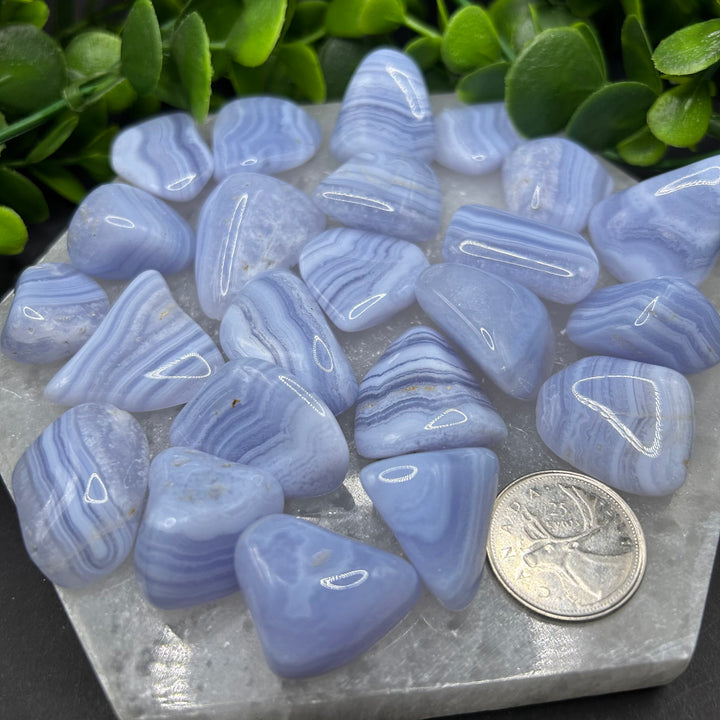 Blue Lace Agate Tumbled Healing Stone