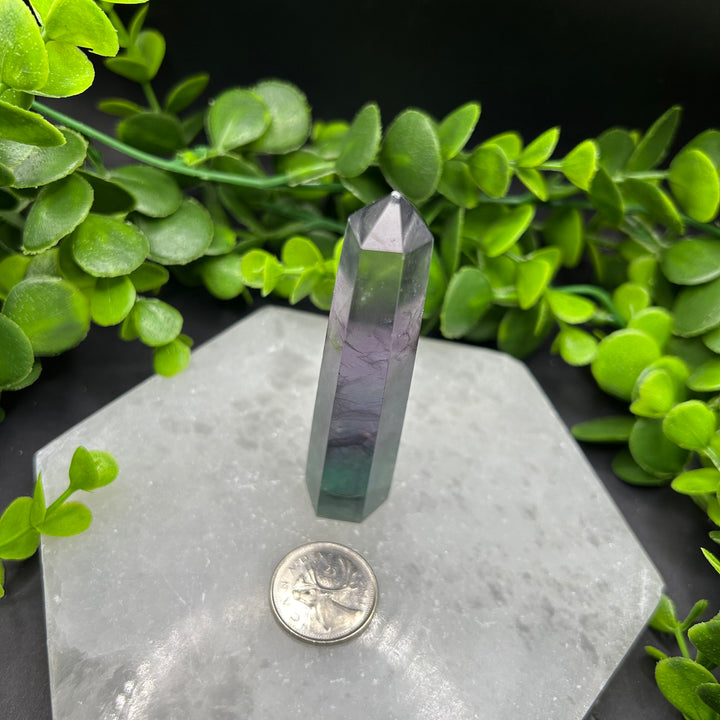 Fluorite Polished Point (#2)