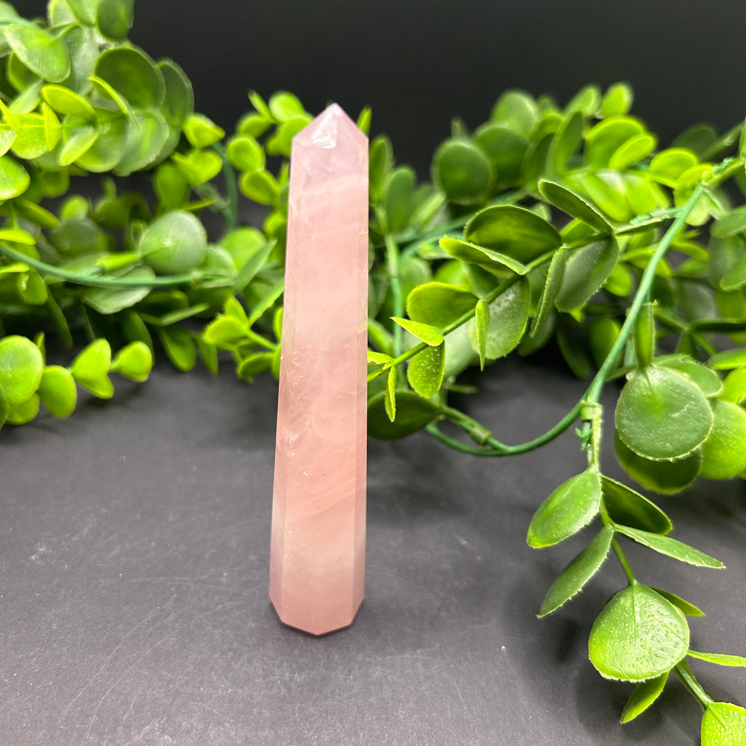 Rose Quartz Polished Point (#13)