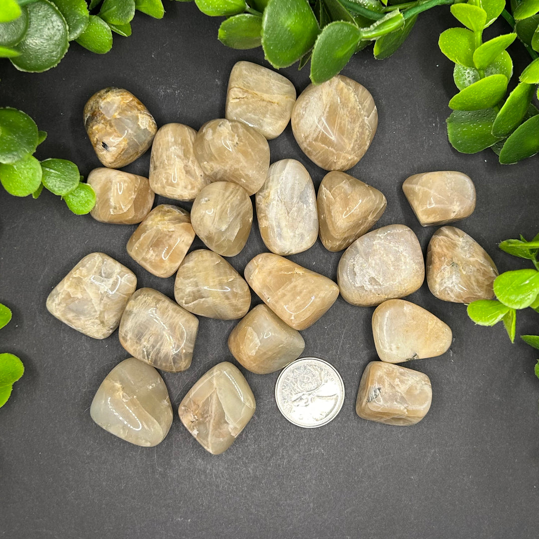 Moonstone Tumbled