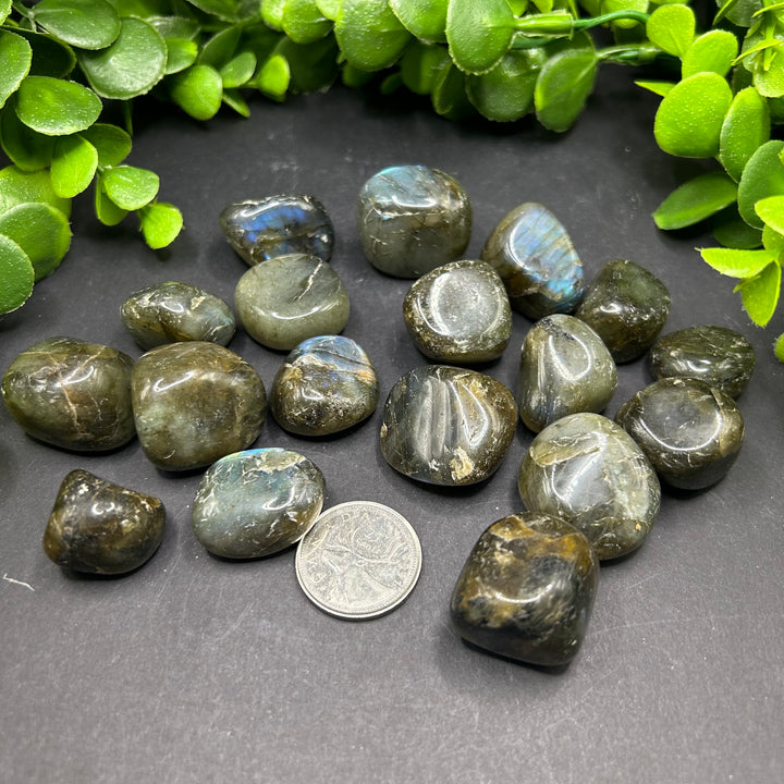 Labradorite Tumbled