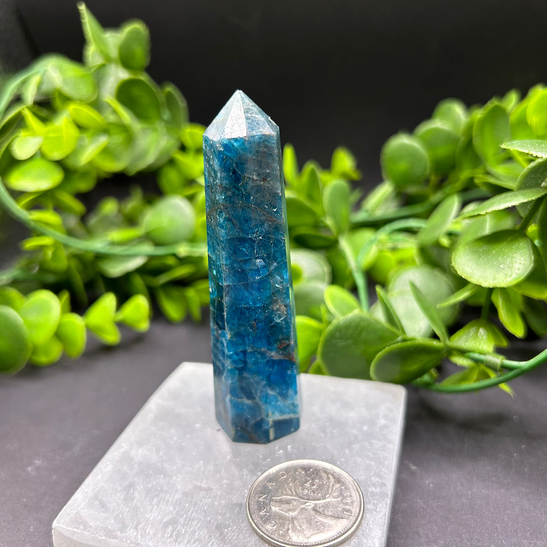 High Quality Blue Apatite Polished Point (#3)