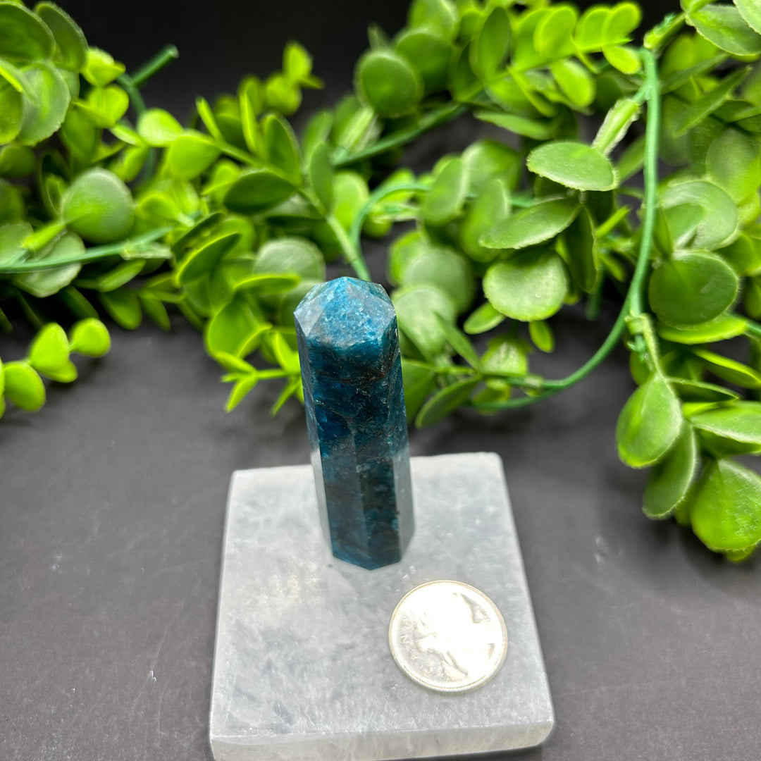 High Quality Blue Apatite Polished Point (#5)