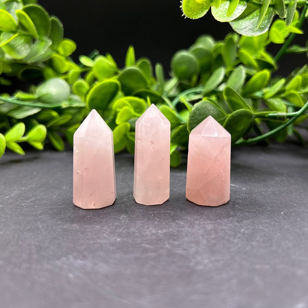 Rose Quartz Polished Mini Points