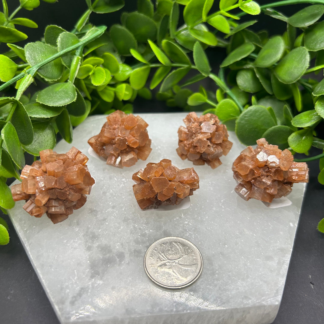 Aragonite Clusters (S)