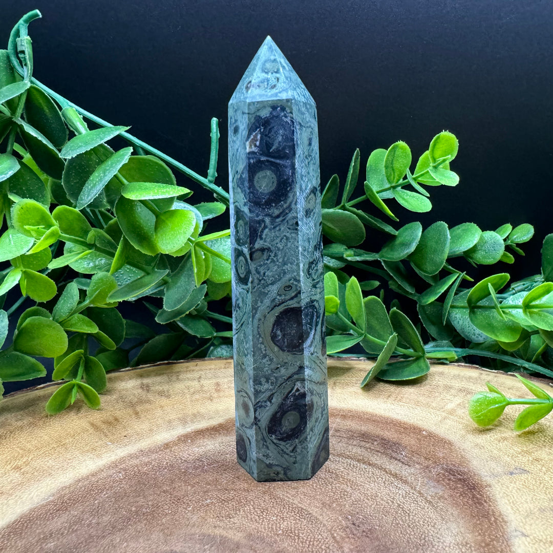 Kambaba Jasper Polished Point #1