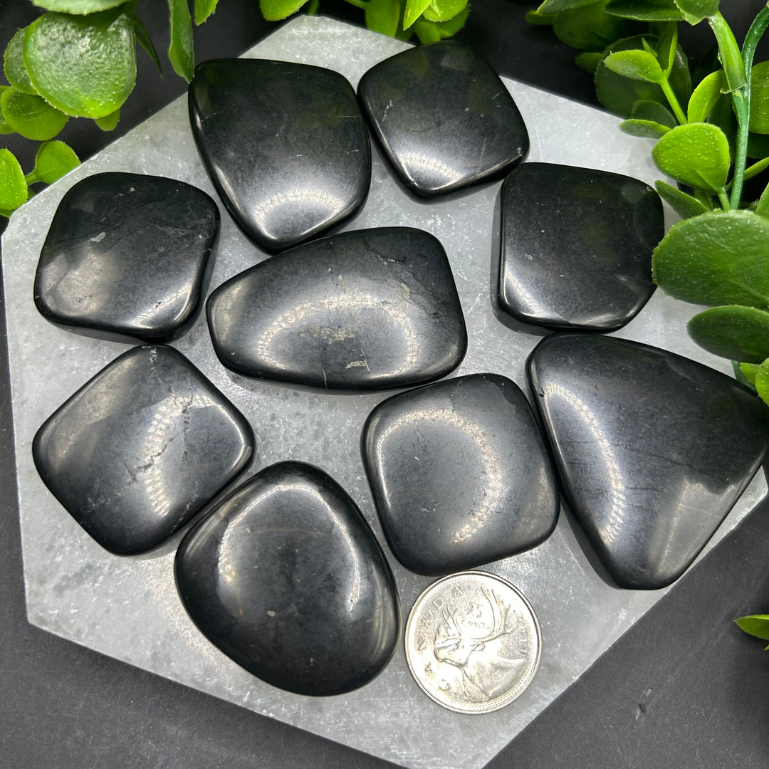 Shungite Palm Stones