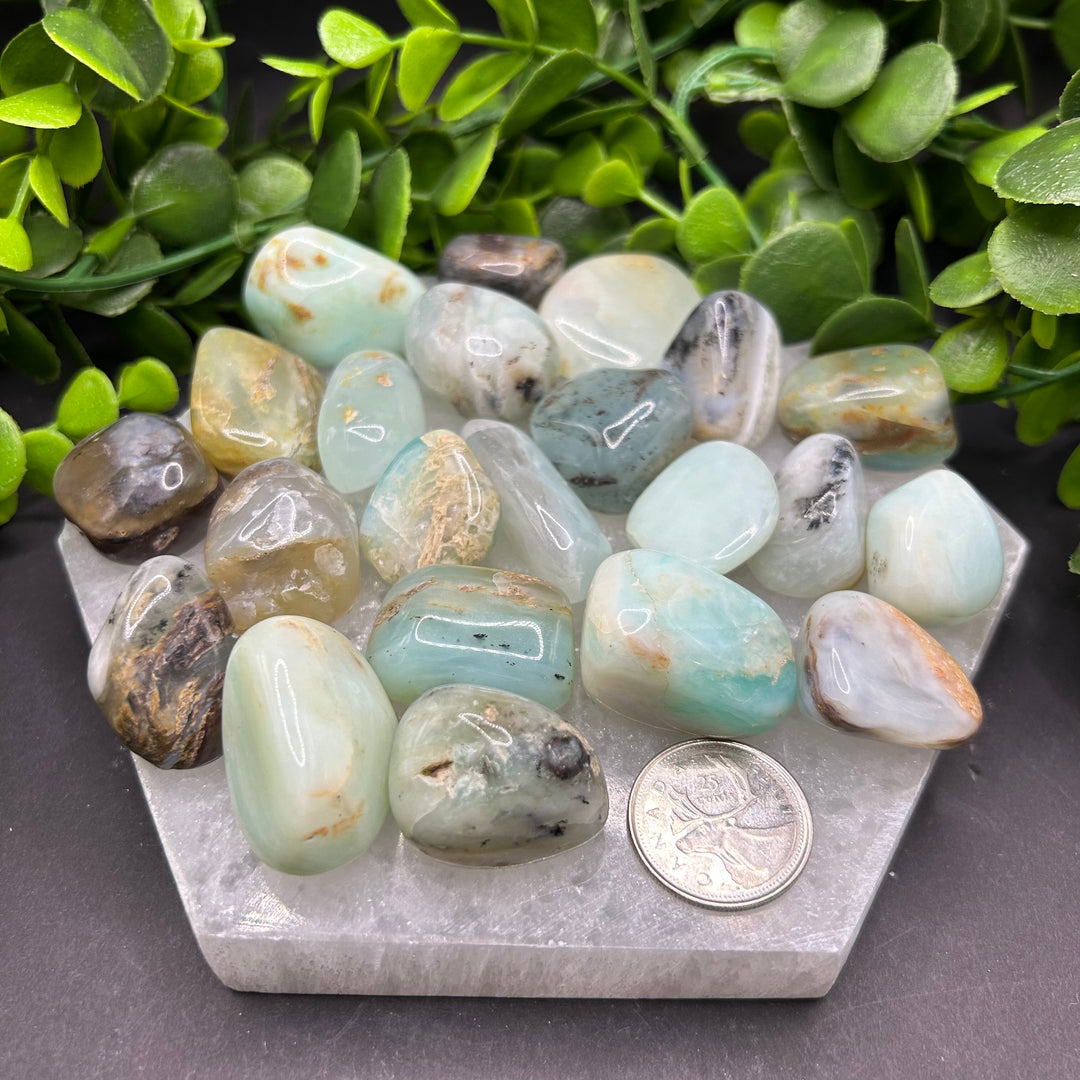 Blue Opal Tumbled Stone (M-L)