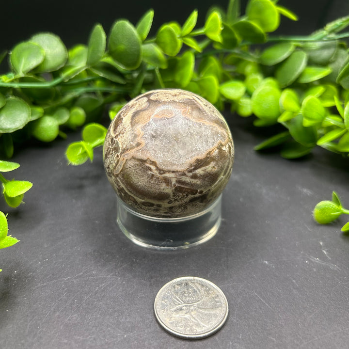 Rhyolite 50mm Sphere