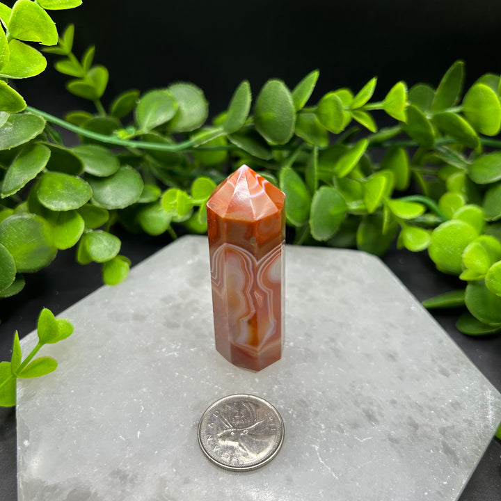 Carnelian Polished Point (#2)